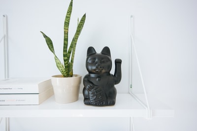 黑色manekineko猫接近白色盆栽绿叶植物
